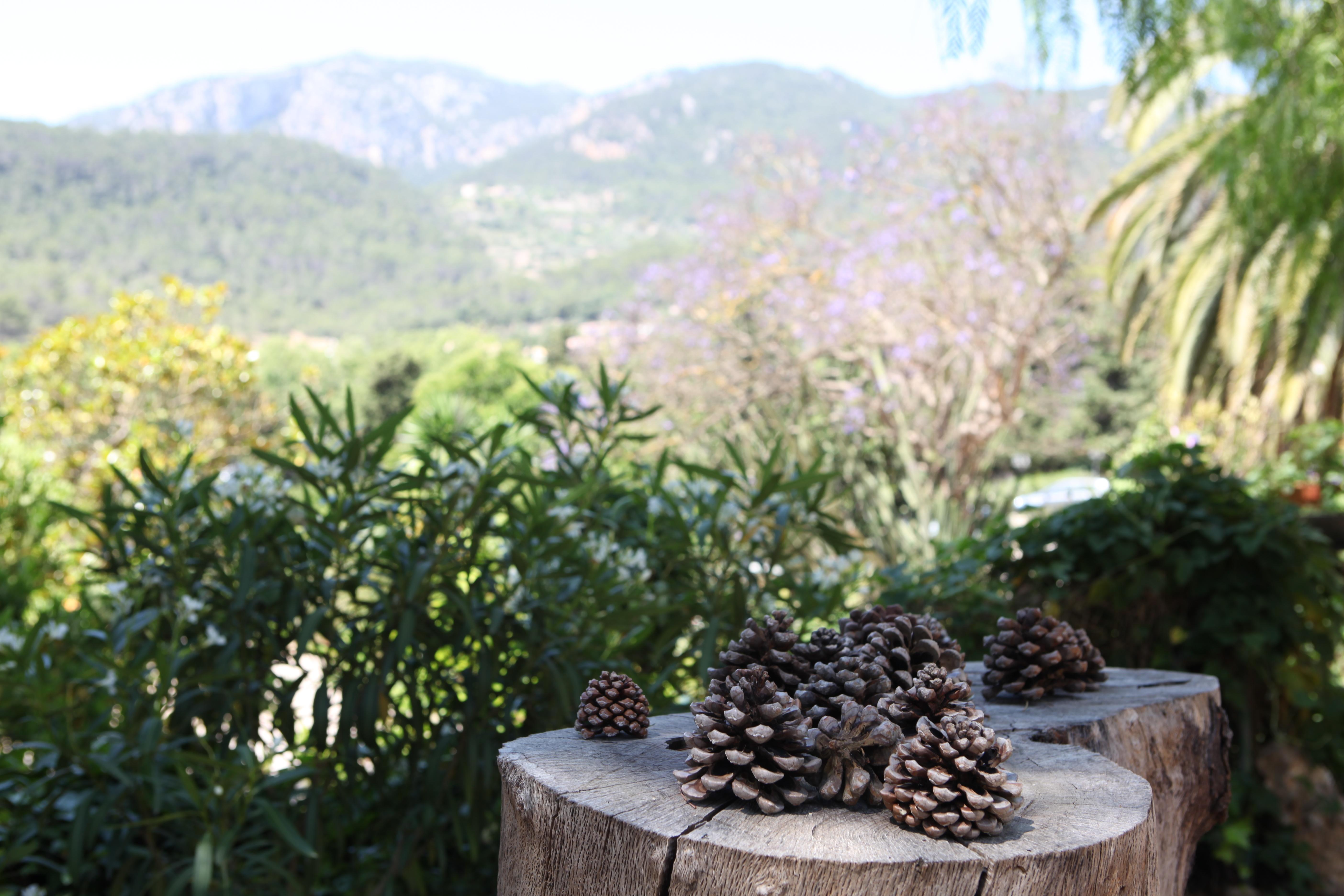 Agroturismo Son Galceran (Adults Only) Esporles Exterior foto