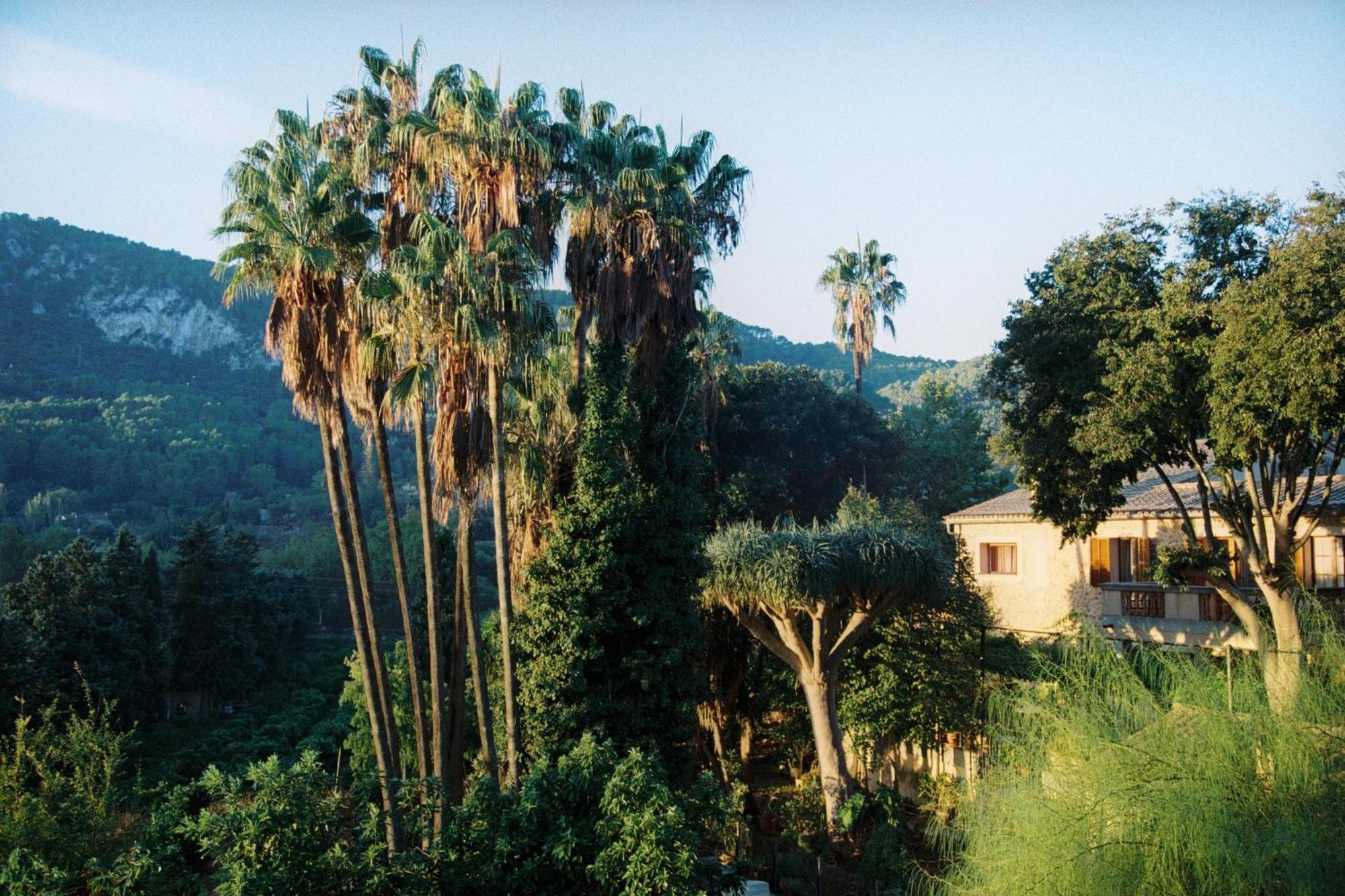 Agroturismo Son Galceran (Adults Only) Esporles Exterior foto
